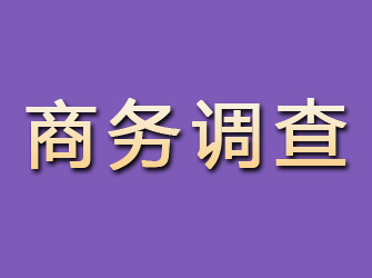 临渭商务调查